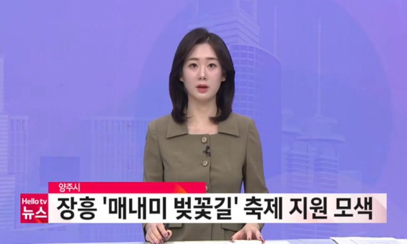 매내미 벚꽃길 축제 지원 모색 이미지